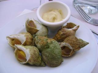DSC08098.JPG