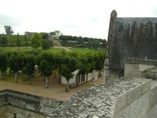 DSC07675.JPG
