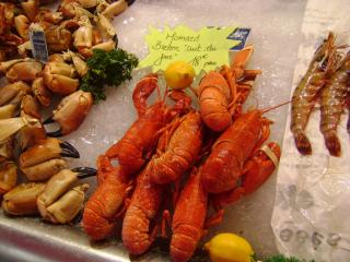 DSC08155.JPG