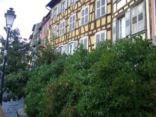 DSC08350.JPG