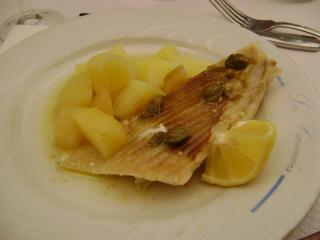 DSC08101.JPG