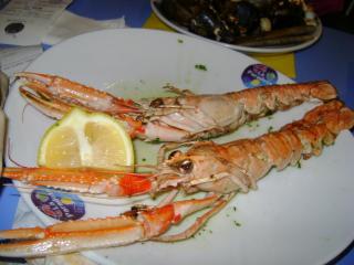 DSC07577.JPG