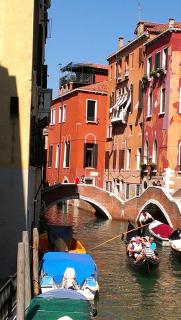 IMAG0356.jpg
