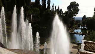 IMAG0295.jpg