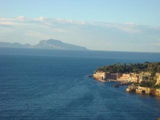 DSC08922.JPG