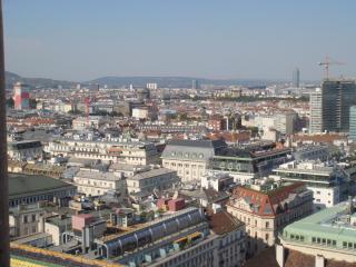 DSC08751.JPG