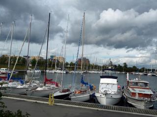 P1480867.jpg
