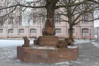 IMG_6781.JPG