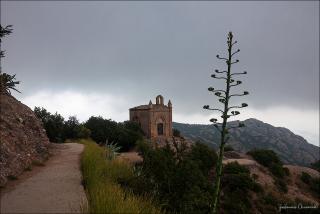 20120713_Spain-Montserrat_026.jpg