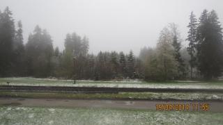 IMG_1928.jpg