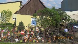 IMG_2918.jpg