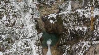 IMG_2184.jpg