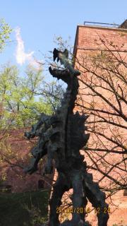 IMG_2755.jpg