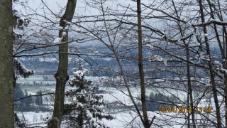 IMG_2128.jpg