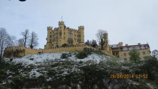 IMG_2105.jpg