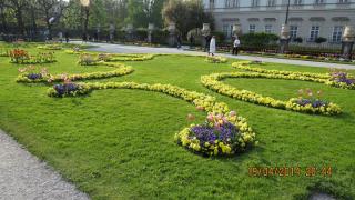 IMG_2296.jpg