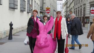 IMG_2641.jpg