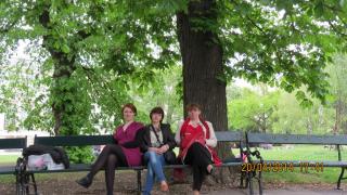IMG_2667.jpg
