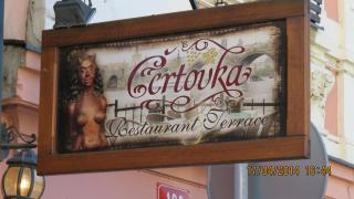 IMG_1511.jpg