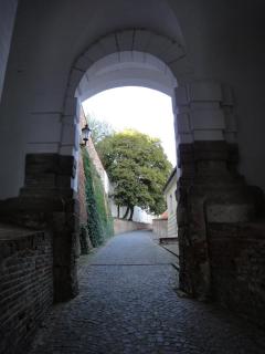 DSC00951.JPG