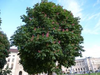 P1000221.JPG
