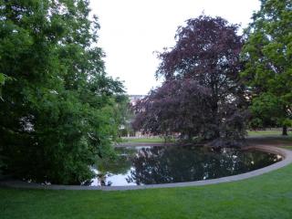 P1000226.JPG