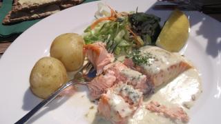 DSCF0744.JPG