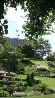 DSCF0729.JPG