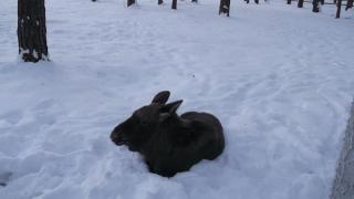 DSCF1364.JPG