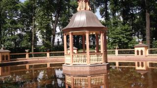 DSCF0968.JPG