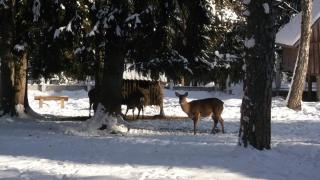DSCF1416.JPG