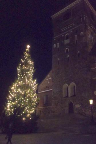 Зимние каникулы на Балтике 1411.JPG