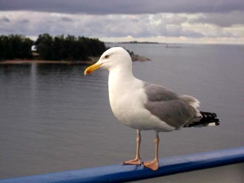 dscf4576.jpg