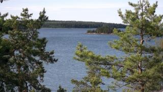 DSCF0817.JPG