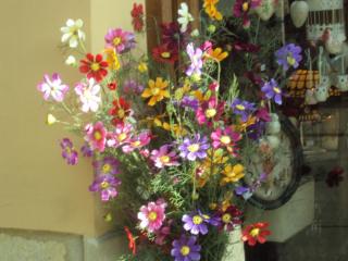 DSC04785.JPG