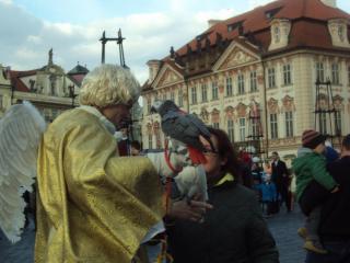 DSC04589.JPG