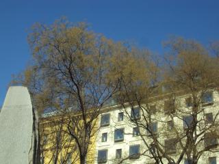 DSC04738.JPG