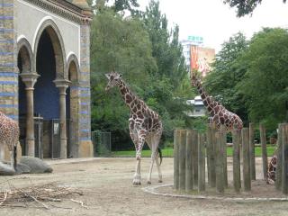 DSCN0418.JPG