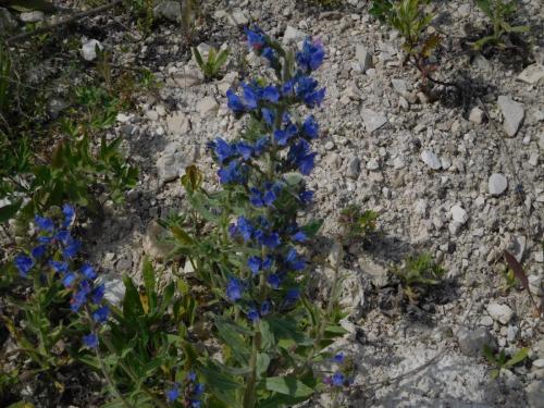 2016-06-12 12-37-16.JPG