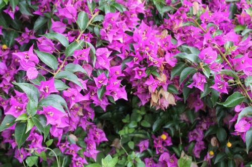 2017-06-28 14-14-12.JPG