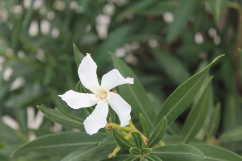 2015-10-01 12-11-08.JPG