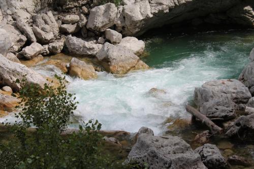 2017-06-26 17-59-07.JPG