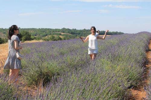 2017-06-26 12-10-57.JPG