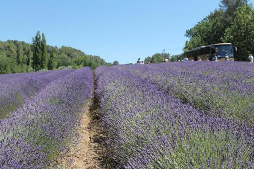 2017-06-25 16-36-24.JPG