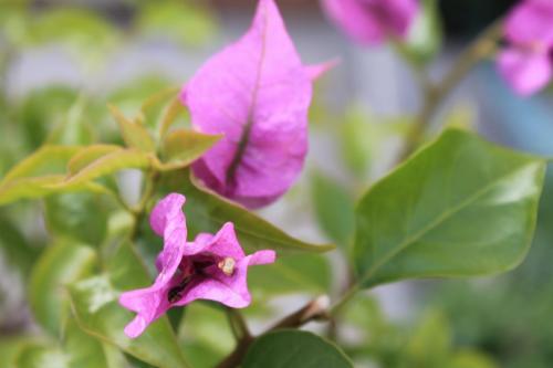 2015-10-01 12-10-57.JPG