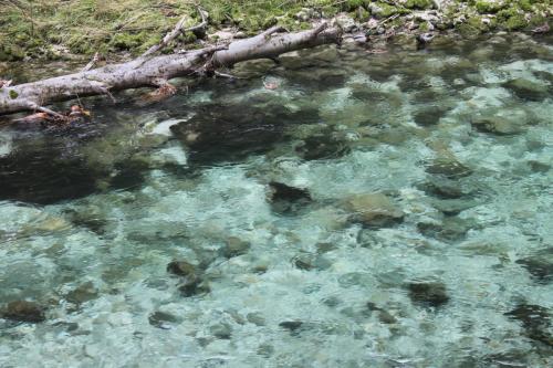 2015-10-02 13-47-35.JPG