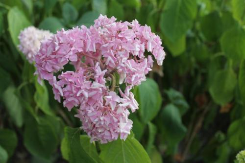 2017-06-23 20-11-40.JPG