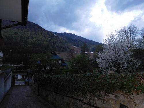 2015-01-01 00-00-00 (517).JPG