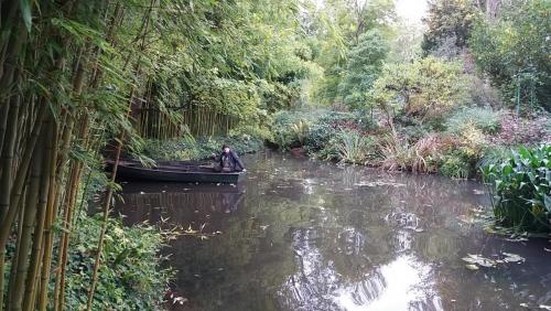 2017-10-10 12-07-21.JPG