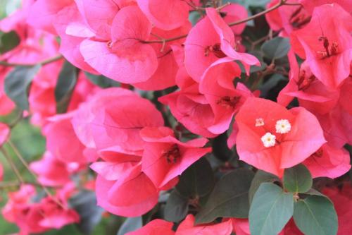 2017-06-28 15-30-58.JPG